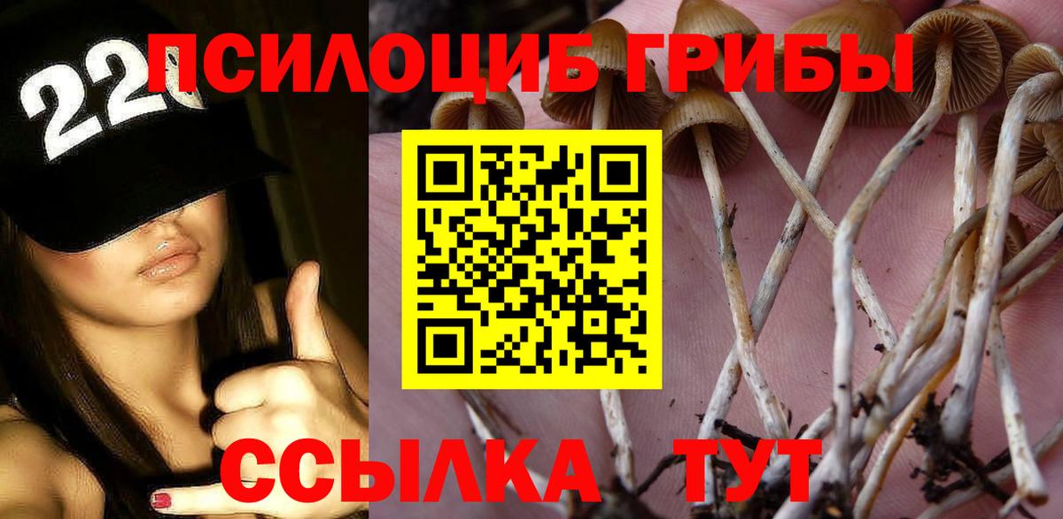 Псилоцибиновые грибы Psilocybe  Вход с VPN  Тула 