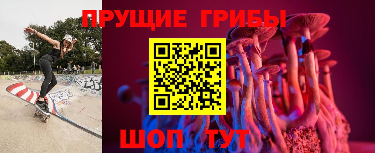 Псилоцибиновые грибы MAGIC MUSHROOMS Тула